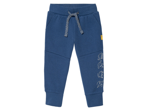 Спортивні штани утеплені для хлопчика Lupilu 370316 086-92 см (12-24 months) темно-синій 73150