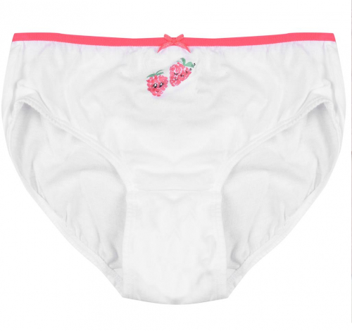 Трусики для дівчинки H&M 0624543010 110-116 см (4-6 years) білий 63216 Трусики для дівчинки H&M 0624543010 110-116 см (4-6 years) білий 63216