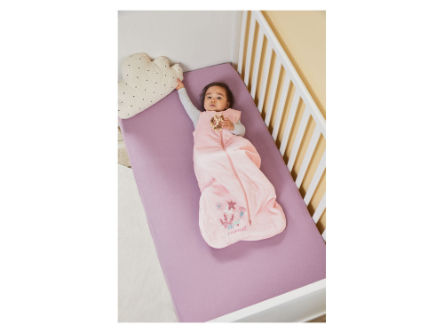 Спальний мішок велюровий утеплений для дівчинки Lupilu 370411 050-68 см (0-6 months) рожевий 85648 Спальний мішок велюровий утеплений для дівчинки Lupilu 370411 050-68 см (0-6 months) рожевий 85648