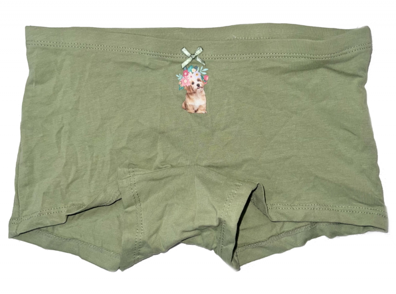 Трусики 134-140 см (8-10 years)   -боксери для дівчинки H&amp;M 0688916-5 хакі 90798