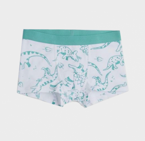 Трусики 122-128 см (6-8 years) -боксери для хлопчика H&M 0785948-5 білий 90461 Трусики 122-128 см (6-8 years) -боксери для хлопчика H&M 0785948-5 білий 90461
