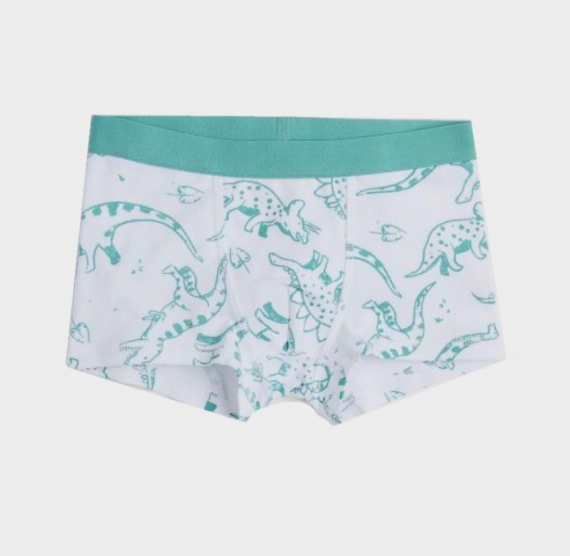 Трусики 122-128 см (6-8 years)   -боксери для хлопчика H&amp;M 0785948-5 білий 90461