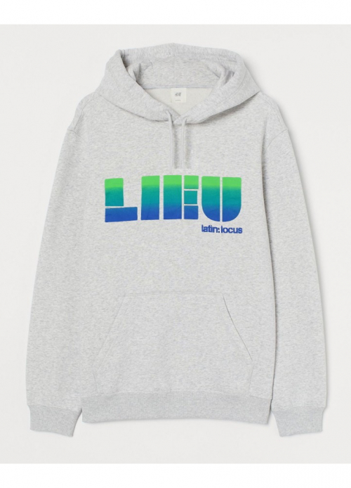 Худі з начосом для чоловіка H&M 0699755 40 / L сірий 82280 Худі з начосом для чоловіка H&M 0699755 40 / L сірий 82280