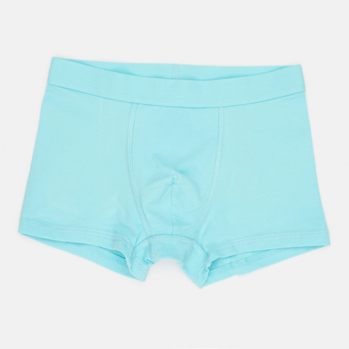 Трусики 146-152 см (10-12 years) -боксери для хлопчика H&M 0785948-2 бірюза 90546 Трусики 146-152 см (10-12 years) -боксери для хлопчика H&M 0785948-2 бірюза 90546