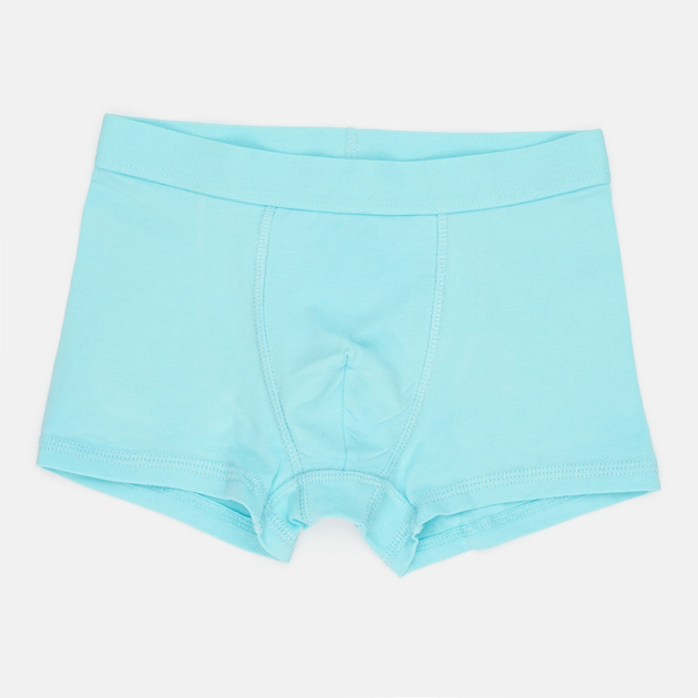 Трусики 110-116 см (4-6 years)   -боксери для хлопчика H&amp;M 0785948-2 бірюза 90481