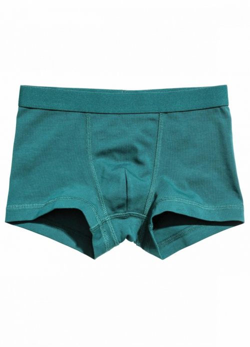 Трусики 122-128 см (6-8 years) -боксери однотонні для хлопчика H&M 0485539005 зелений 90435 Трусики 122-128 см (6-8 years) -боксери однотонні для хлопчика H&M 0485539005 зелений 90435