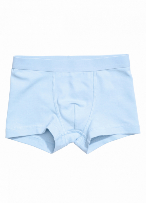 Трусики 122-128 см (6-8 years) -боксери однотонні для хлопчика H&M 0785948 блакитний 85641 Трусики 122-128 см (6-8 years) -боксери однотонні для хлопчика H&M 0785948 блакитний 85641