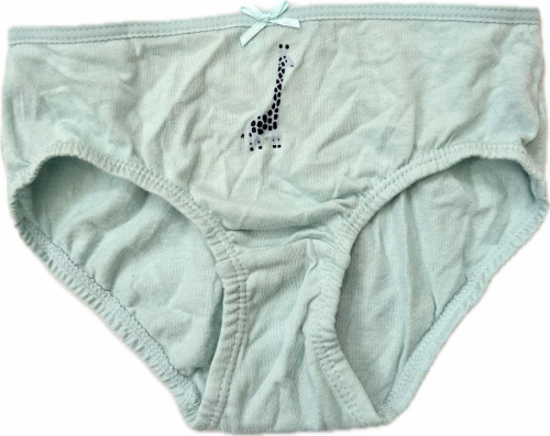 Трусики 110-116 см (4-6 years) сліпи для дівчинки H&M 0624543-094 блакитний 90810 Трусики 110-116 см (4-6 years) сліпи для дівчинки H&M 0624543-094 блакитний 90810