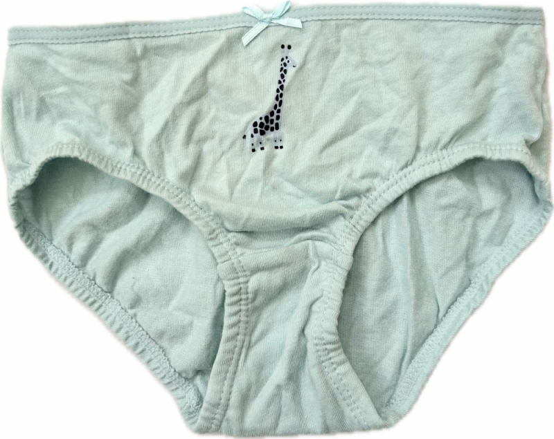 Трусики 110-116 см (4-6 years)   сліпи для дівчинки H&amp;M 0624543-094 блакитний 90810