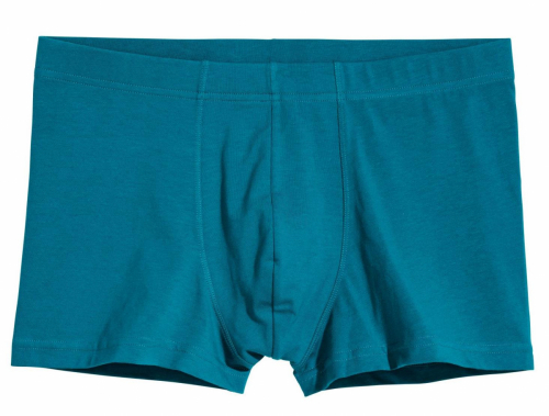 Труси  для чоловіка H&amp;M 0564310005 42 / XL бірюза 61999