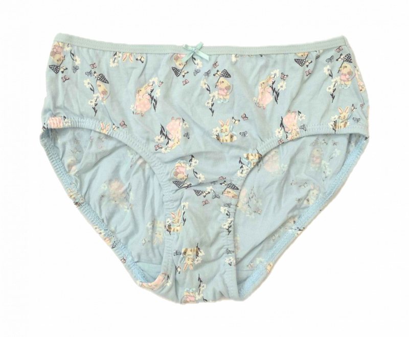 Трусики 122-128 см (6-8 years)   сліпи для дівчинки H&amp;M 0530235-057 блакитний 90661