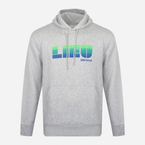Худі з начосом для чоловіка H&M 0699755 40 / L сірий 82280 Худі з начосом для чоловіка H&M 0699755 40 / L сірий 82280