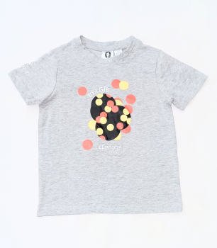 Футболка (звич.) бавовняна з принтом для хлопчика Lidl 458293 098-104 см (2-4 years) сірий  89881