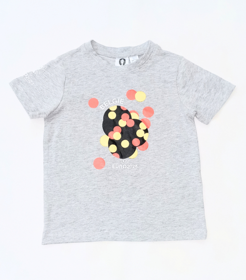 Футболка (звич.) бавовняна з принтом для хлопчика Lidl 458293 098-104 см (2-4 years) сірий  89881