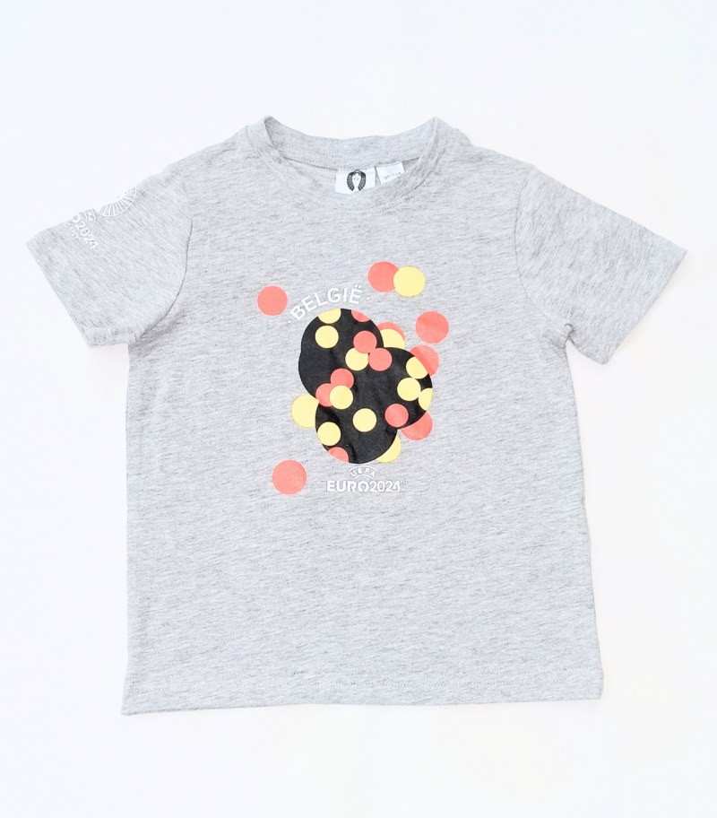 Футболка (звич.) бавовняна з принтом для хлопчика Lidl 458293 098-104 см (2-4 years) сірий  89881