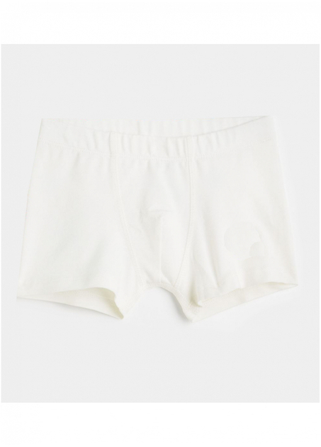 Трусики 170 см (14-15 years)   -боксери однотонні для хлопчика H&amp;M 0973809-6 білий 90593