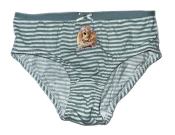 Трусики 092 см (18-24 months)   сліпи для дівчинки H&amp;M 0530235-044 зелений 90829