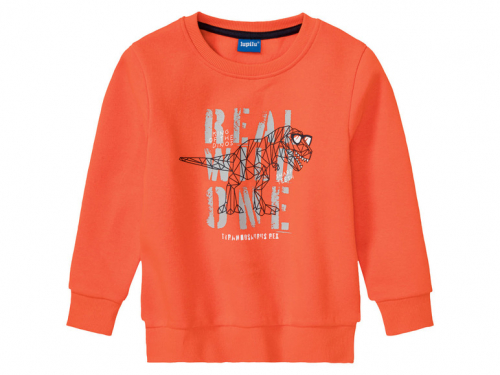 Світшот з начосом для хлопчика Lupilu 392745 098-104 см (2-4 years) помаранч  84351