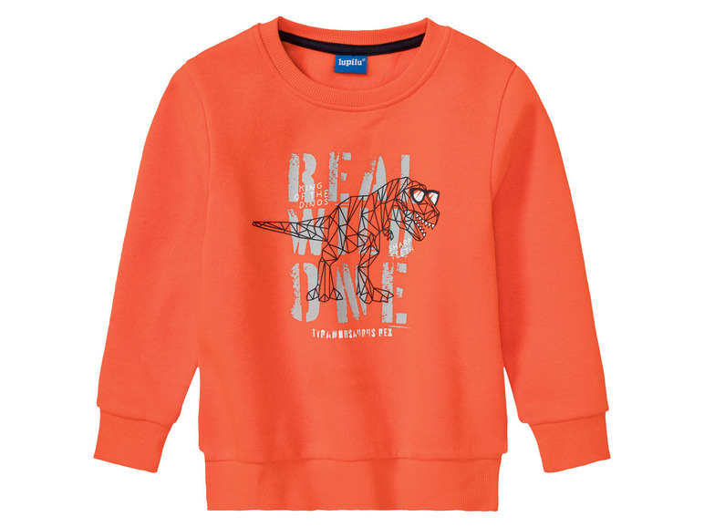 Світшот з начосом для хлопчика Lupilu 392745 098-104 см (2-4 years) помаранч  84351