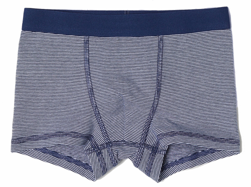 Трусики для хлопчика H&M 0658601007 098-104 см (2-4 years) темно-синій 61603 Трусики для хлопчика H&M 0658601007 098-104 см (2-4 years) темно-синій 61603