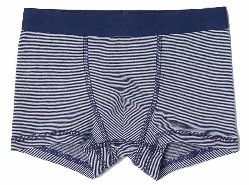 Трусики  для хлопчика H&amp;M 0658601007 110-116 см (4-6 years) темно-синій 60544