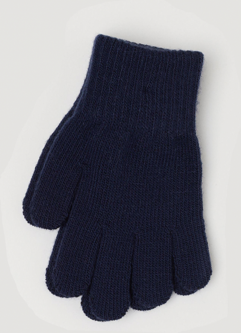 Перчатки  для хлопчика H&amp;M 0630911002 розмір перчаток 3 (2-4 years, 98-104 см) темно-синій 62515