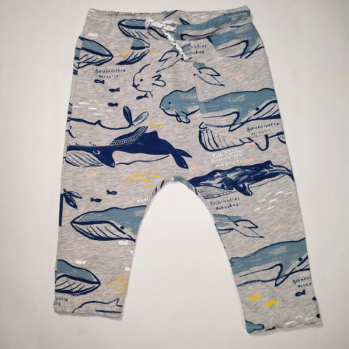 Штани  для хлопчика H&amp;M BDO57583 086 см (12-18 months) сірий 57583