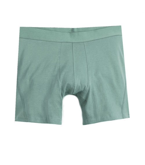 Труси -боксери однотонні для чоловіка H&M 1070271-006 36 / S зелений 85886 Труси -боксери однотонні для чоловіка H&M 1070271-006 36 / S зелений 85886