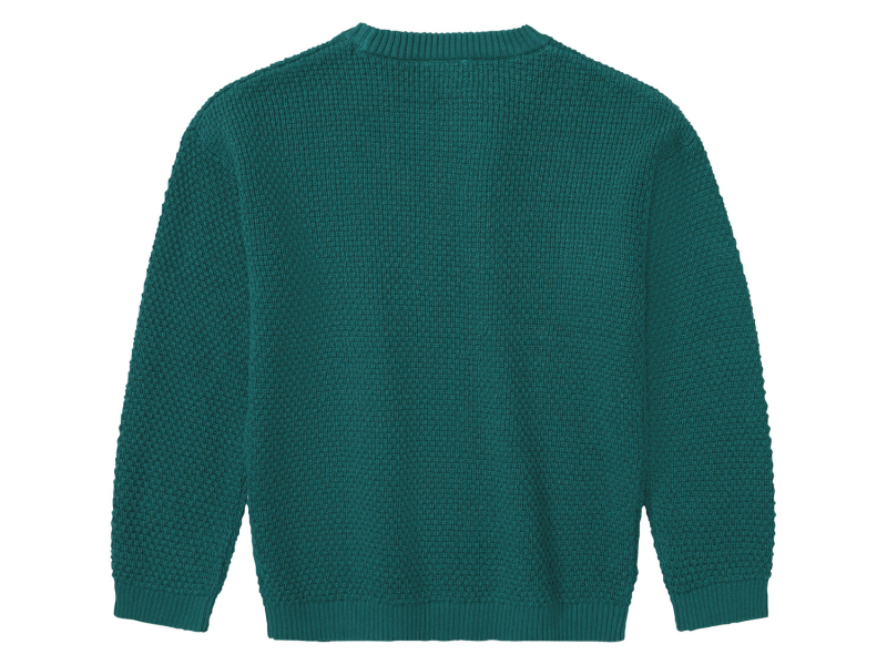 Джемпер в'язаний для хлопчика Lupilu 416670 110-116 см (4-6 years) зелений  87142