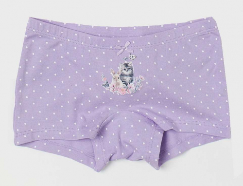 Трусики для дівчинки H&M 0688916028 134-140 см (8-10 years) фіолетовий 63366 Трусики для дівчинки H&M 0688916028 134-140 см (8-10 years) фіолетовий 63366