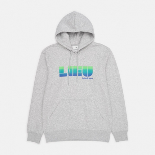 Худі з начосом для чоловіка H&M 0699755 40 / L сірий 82280 Худі з начосом для чоловіка H&M 0699755 40 / L сірий 82280
