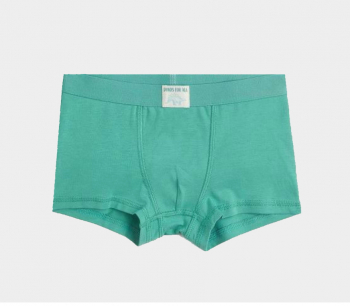 Трусики 092 см (18-24 months)   -боксери однотонні для хлопчика H&amp;M 0785948-5 зелений 90586