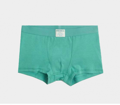 Трусики 110-116 см (4-6 years) -боксери для хлопчика H&M 0785948-5 зелений 90475 Трусики 110-116 см (4-6 years) -боксери для хлопчика H&M 0785948-5 зелений 90475