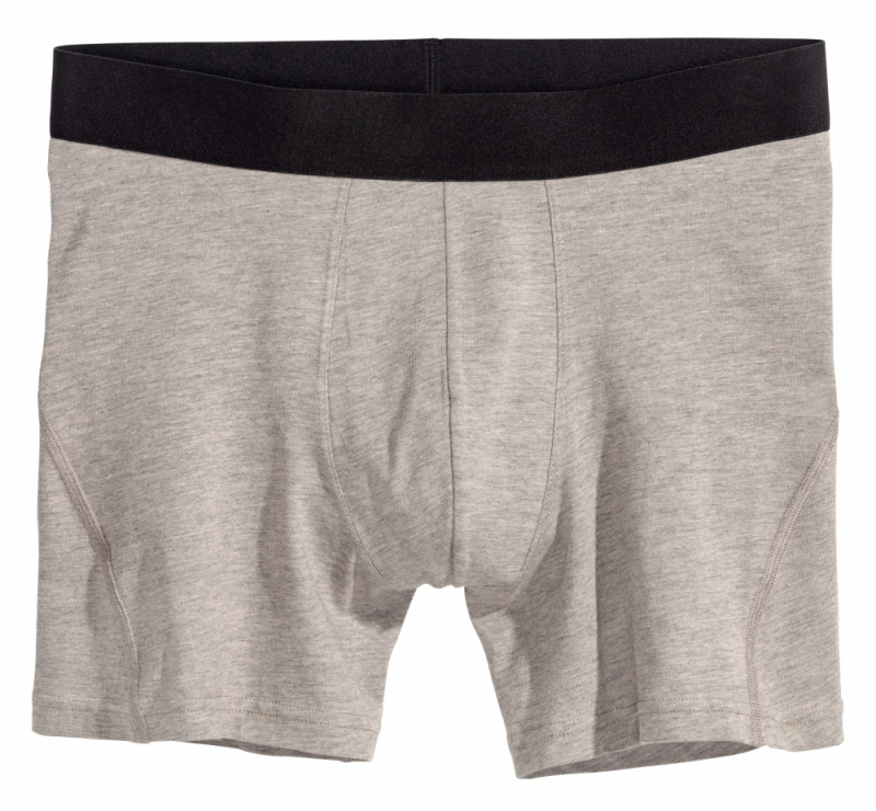 Труси   H&amp;M 0564312002 40 / L сірий 59866