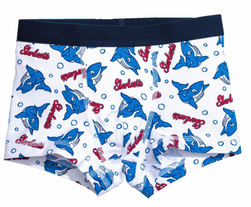Трусики  для хлопчика H&amp;M 0499194002 122-128 см (6-8 years) білий 63058