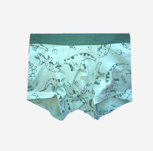 Трусики 098-104 см (2-4 years) -боксери для хлопчика H&M 0785948-5 бірюза 90488 Трусики 098-104 см (2-4 years) -боксери для хлопчика H&M 0785948-5 бірюза 90488