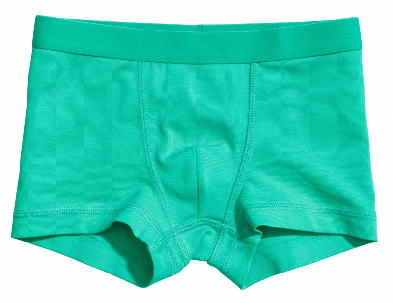 Трусики  для хлопчика H&amp;M 0485539032 110 см (4-5 years) зелений 60649