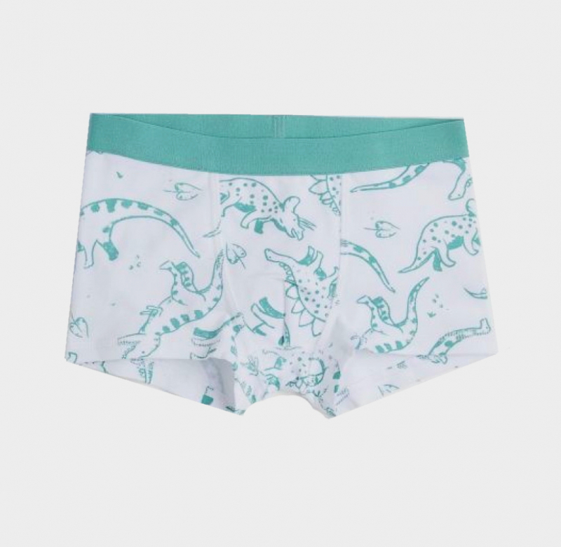 Трусики 134-140 см (8-10 years)   -боксери для хлопчика H&amp;M 0785948-5 білий 90468