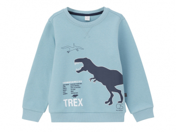 Світшот з начосом для хлопчика s.Oliver 419238 104-110 см (3-5 years) блакитний  90234