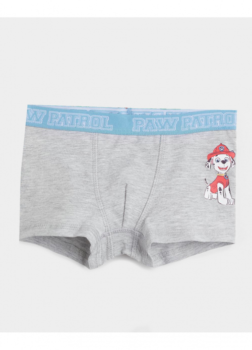Трусики (дитячі) 110-116 см (4-6 years) -боксери Paw Patrol для хлопчика H&M 1010215-009 сірий 76468 Трусики (дитячі) 110-116 см (4-6 years) -боксери Paw Patrol для хлопчика H&M 1010215-009 сірий 76468
