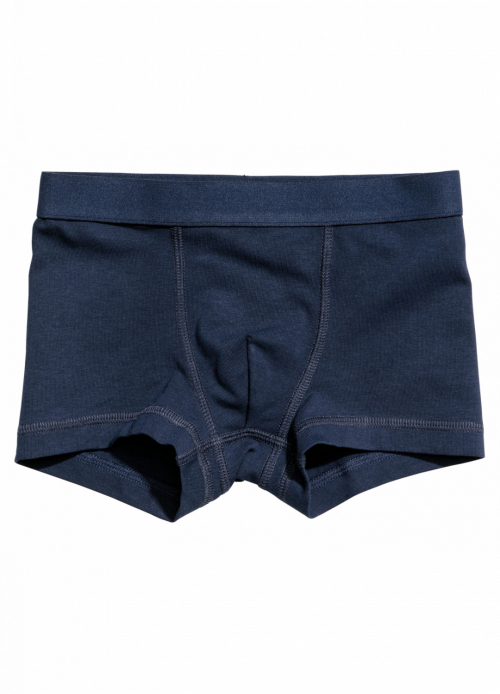 Трусики (дитячі) 110-116 см (4-6 years) -боксери для хлопчика H&M 0658601009 темно-синій 43840 Трусики (дитячі) 110-116 см (4-6 years) -боксери для хлопчика H&M 0658601009 темно-синій 43840