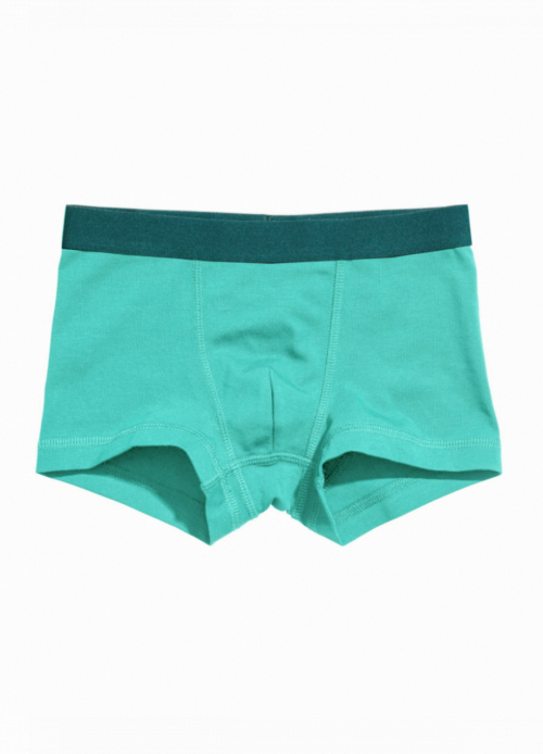 Трусики (дитячі) -боксери для хлопчика H&M 0713774-028 122-128 см (6-8 years) бірюза 90434 Трусики (дитячі) -боксери для хлопчика H&M 0713774-028 122-128 см (6-8 years) бірюза 90434
