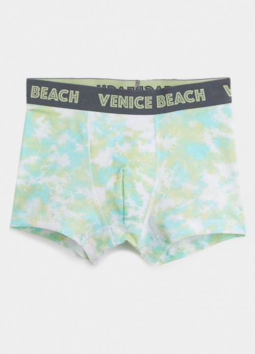 Трусики (дитячі) -боксери для хлопчика H&M 0767123-064 146-152 см (10-12 years) бірюза 90531 Трусики (дитячі) -боксери для хлопчика H&M 0767123-064 146-152 см (10-12 years) бірюза 90531