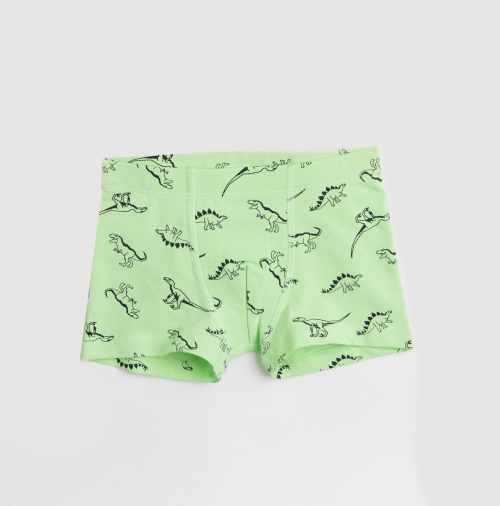 Трусики 098-104 см (2-4 years) -боксери для хлопчика H&M 0939326-6 зелений 90455 Трусики 098-104 см (2-4 years) -боксери для хлопчика H&M 0939326-6 зелений 90455