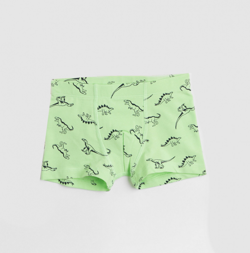 Трусики 098-104 см (2-4 years)   -боксери для хлопчика H&amp;M 0939326-6 зелений 90455