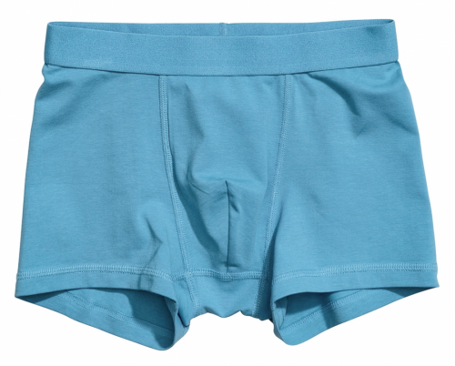 Трусики 110-116 см (4-6 years) -боксери для хлопчика H&M 0767126-040 бірюза 90480 Трусики 110-116 см (4-6 years) -боксери для хлопчика H&M 0767126-040 бірюза 90480