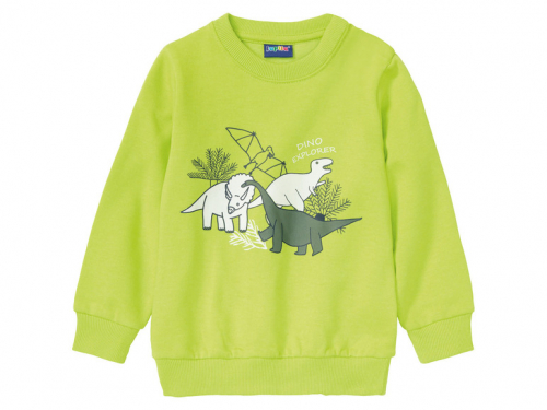 Світшот з начосом для хлопчика Lupilu 382071 086-92 см (12-24 months) салатовий 84350 Світшот з начосом для хлопчика Lupilu 382071 086-92 см (12-24 months) салатовий 84350