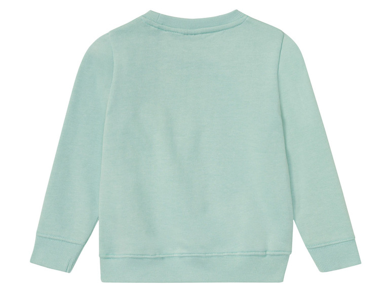 Світшот з начосом для хлопчика Lupilu 392617 110-116 см (4-6 years) бірюза  90233