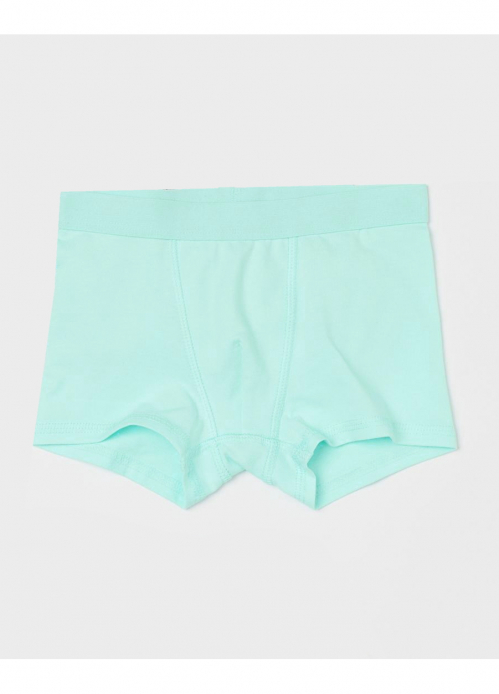 Трусики 158-164 см (12-14 years) -боксери для хлопчика H&M 0785948-036 бірюза 90596 Трусики 158-164 см (12-14 years) -боксери для хлопчика H&M 0785948-036 бірюза 90596