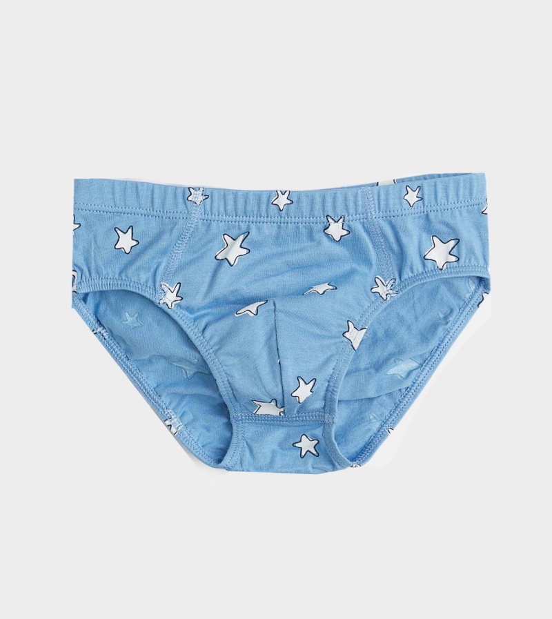 Трусики 110-116 см (4-6 years)   сліпи для хлопчика H&amp;M 0937123-017 синій 90482